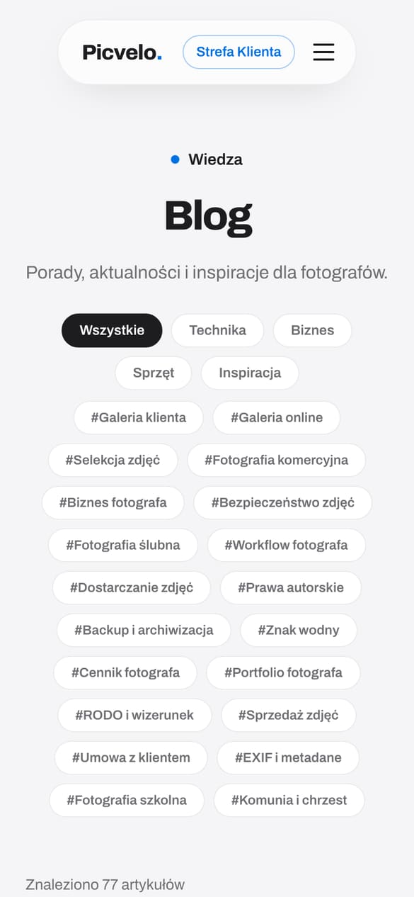 Strona główna bloga: jeden język, tematy z klastra komercyjnego, czyli z tego, czym Picvelo naprawdę się zajmuje. (telefon)